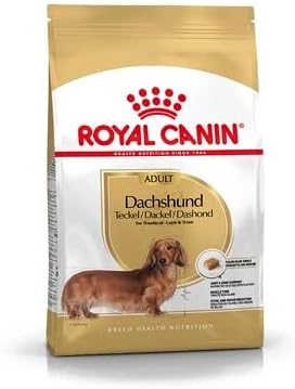 Royal Canin Dachshund Adult Dry Dog Food: Supports Joint Health