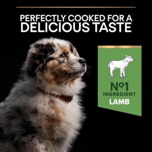 PRO PLAN Medium Puppy Sensitive Digestion Lamb Dry Dog Food Helps Support Puppy Gut Health